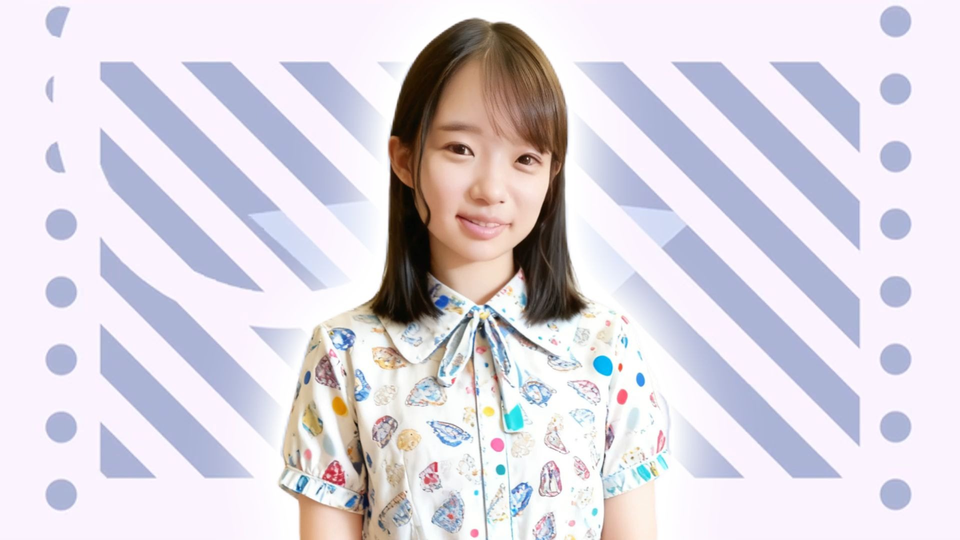 安装步骤示意图